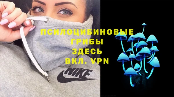 соль ск Волосово