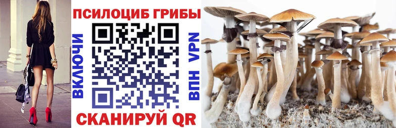 мориарти наркотические препараты  Дмитриев  Галлюциногенные грибы Magic Shrooms 